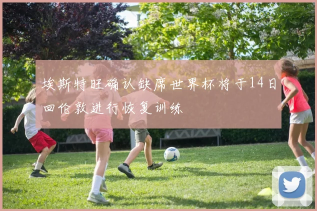 埃斯特旺确认缺席世界杯将于14日回伦敦进行恢复训练
