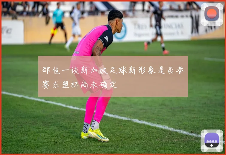 邵佳一谈新加坡足球新形象是否参赛东盟杯尚未确定